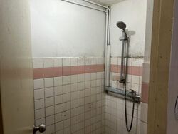 Sembawang Hills Estate (D20), Terrace #438768741